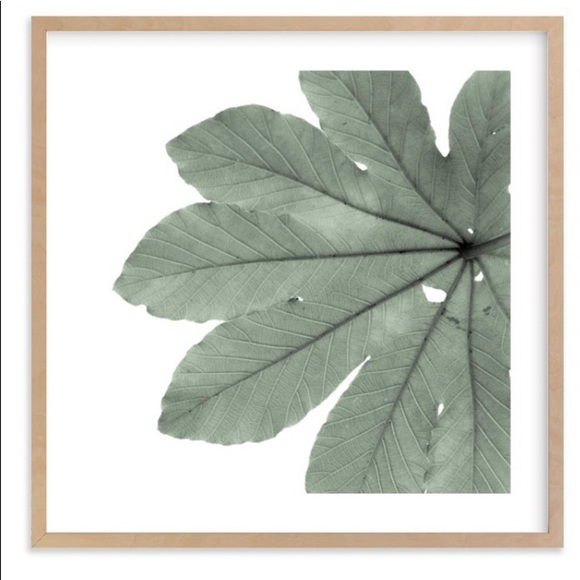 16” Framed “Green Leaf” Tropical Art by minted.com - Picture 1 of 4
